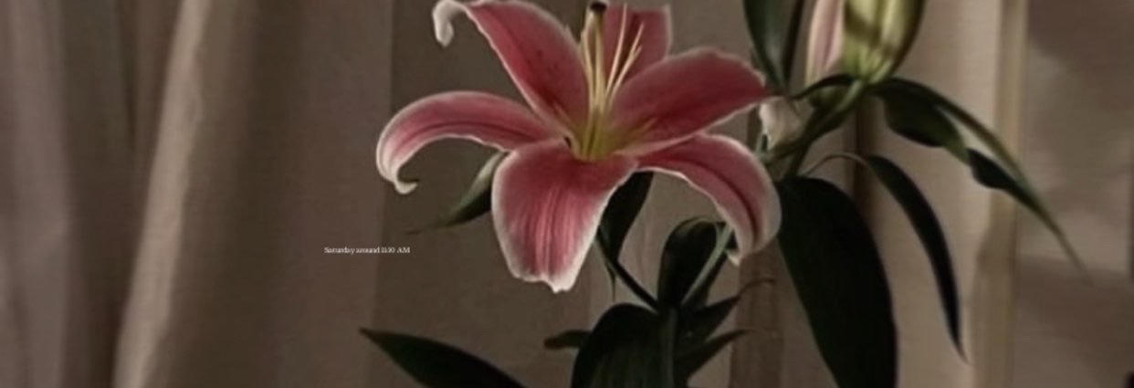 uiis_77's profile banner image