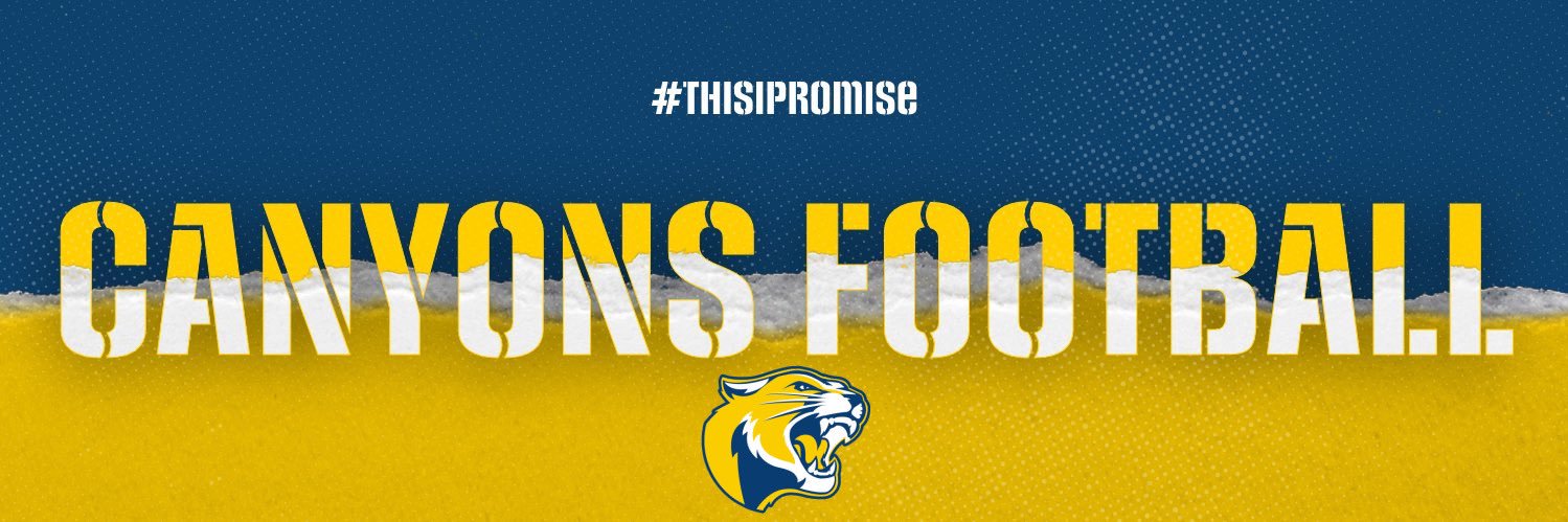 Cougars Football banner