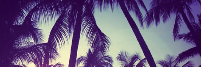 blurple_dalaney's profile banner image