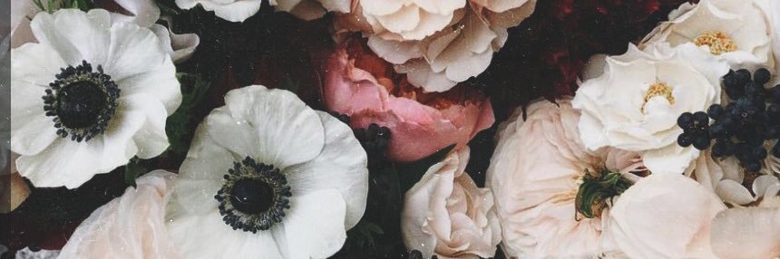 sarah•creasy banner