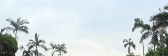 Shigenori Terazawa banner