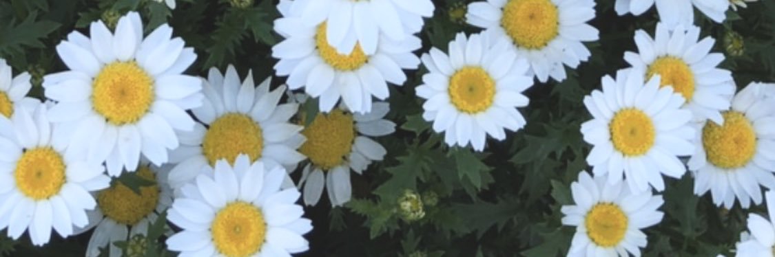 Hime_9117's profile banner image