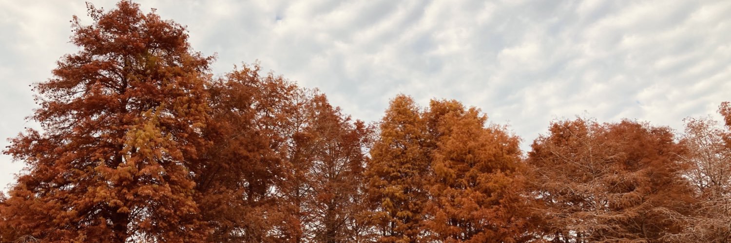 Ironmoai1's profile banner image