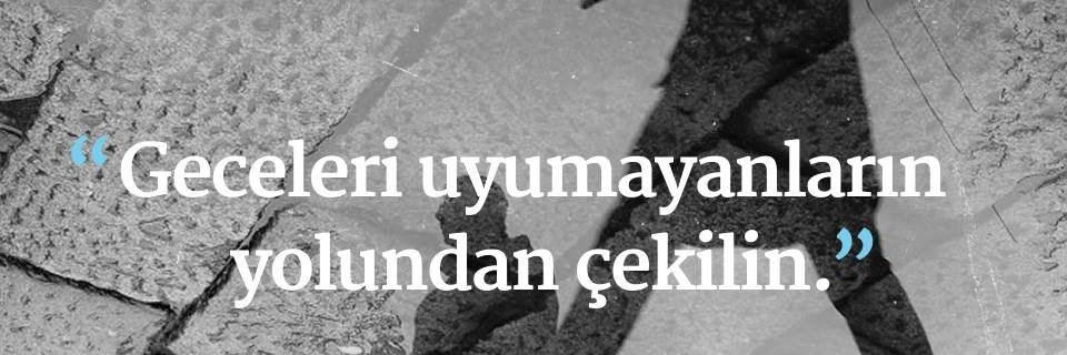 sarpolog's profile banner image