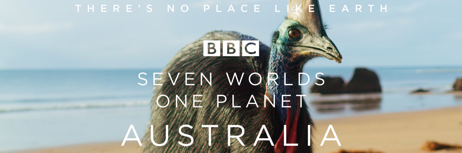 Daniel Hunter banner