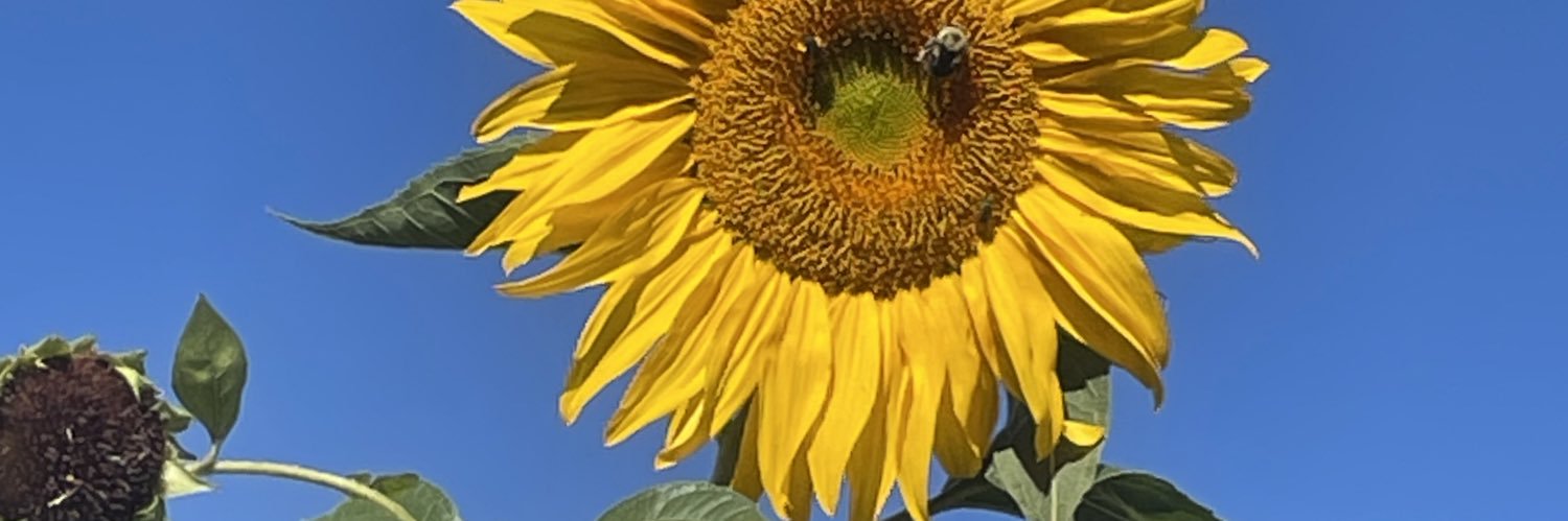 AccioTequilaaa's profile banner image