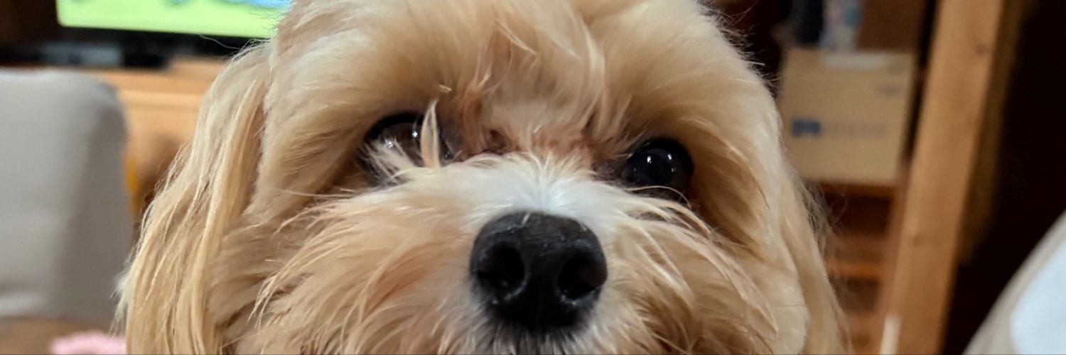 umesuke0604's profile banner image