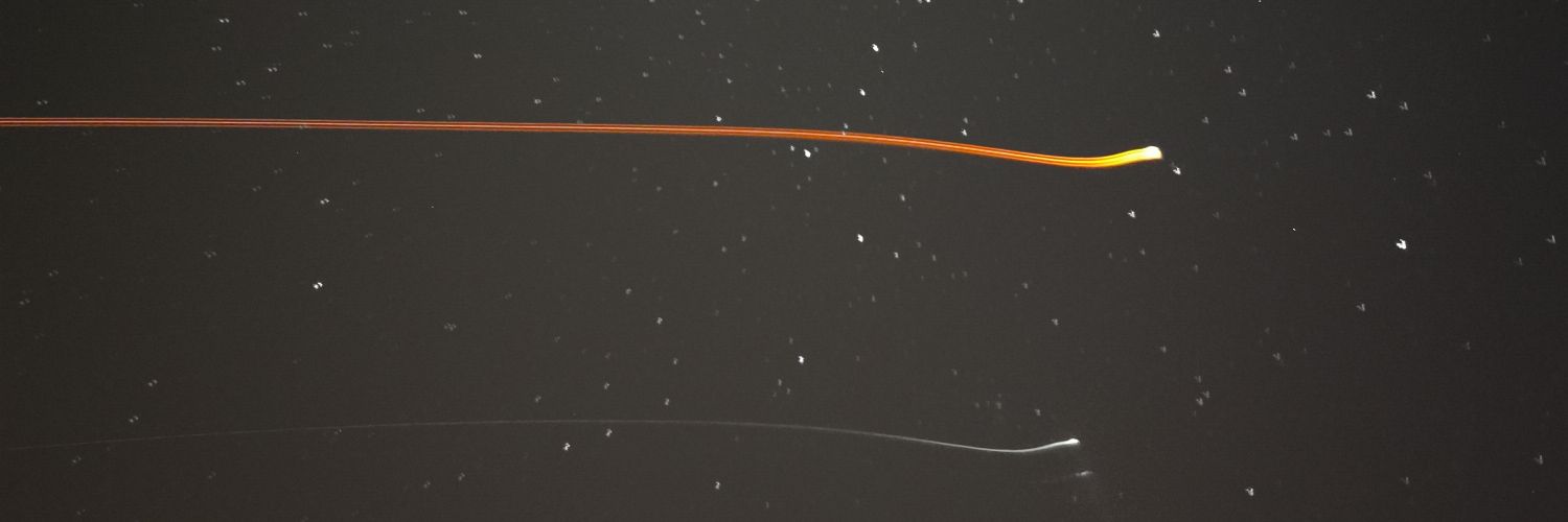 Estrella_Damn's profile banner image