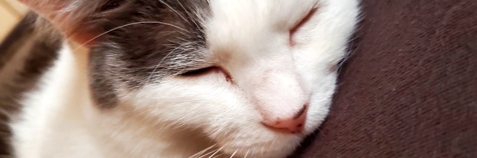 pinga116's profile banner image