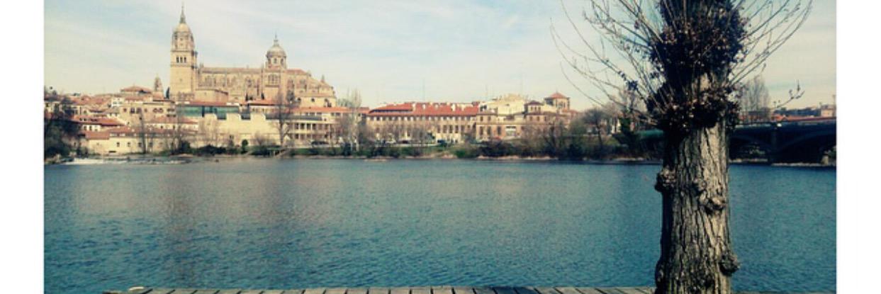 Monisjaen's profile banner image