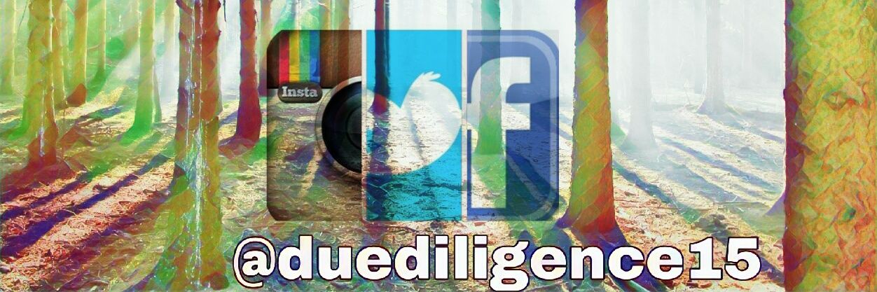 duediligence15's profile banner image
