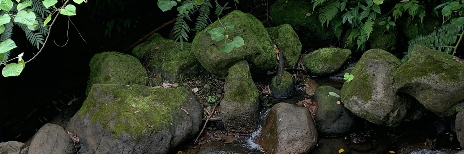 Moss_Goblin's profile banner image