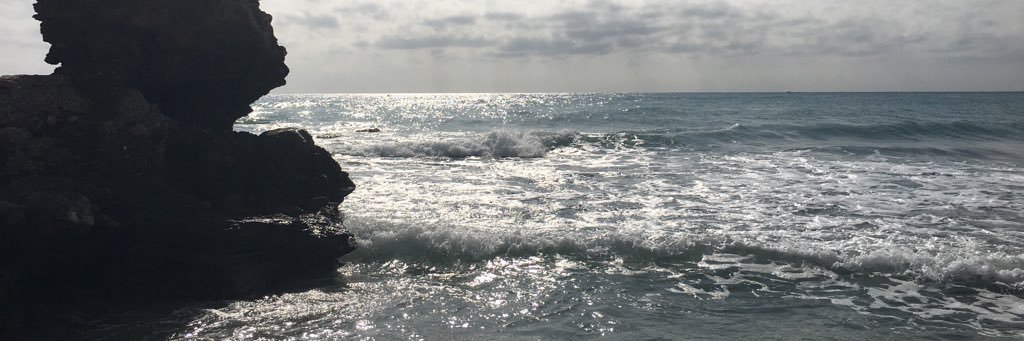 Emily_Whitaker9's profile banner image