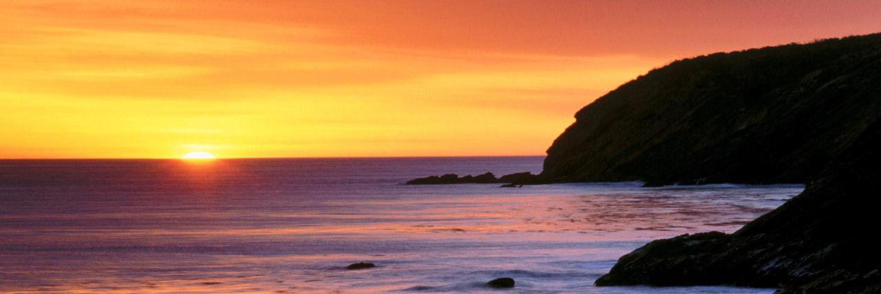 fabrizio de santis banner