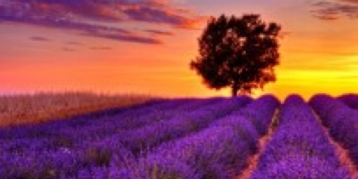 eulondaskyles's profile banner image