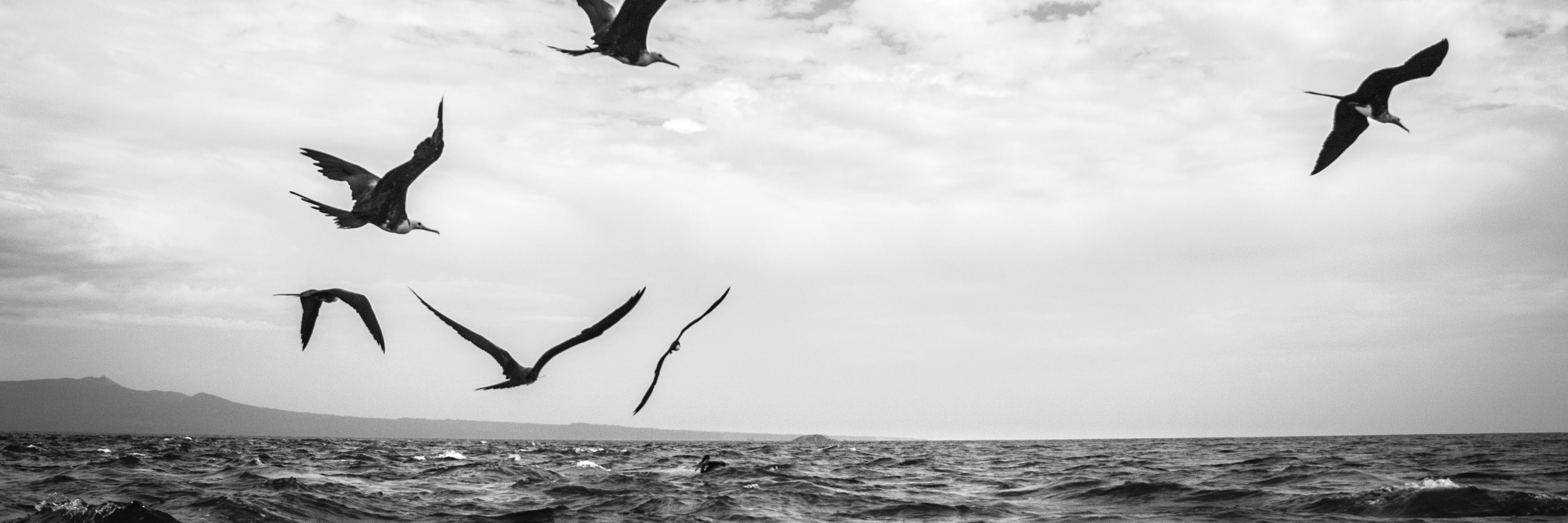 BartGramberg's profile banner image
