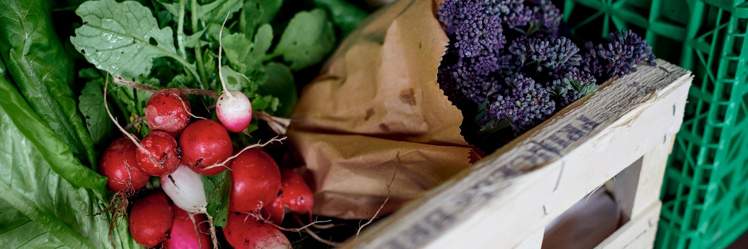 Food Sense Wales / Synnwyr Bwyd Cymru banner