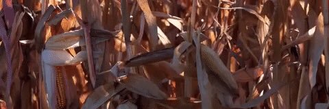 RyanEInman's profile banner image