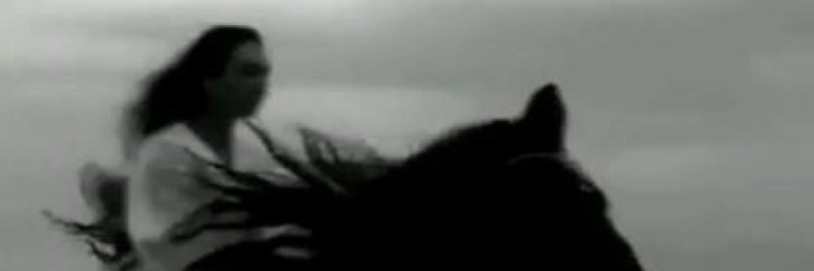 sara8991s's profile banner image