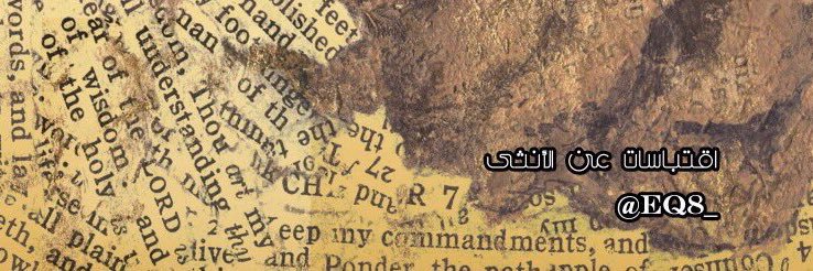eq8_'s profile banner image
