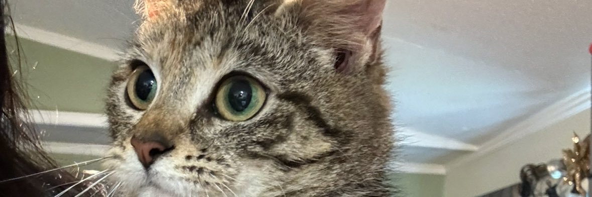 Morenoal_'s profile banner image