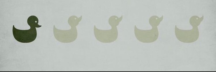 alelobosanchez's profile banner image