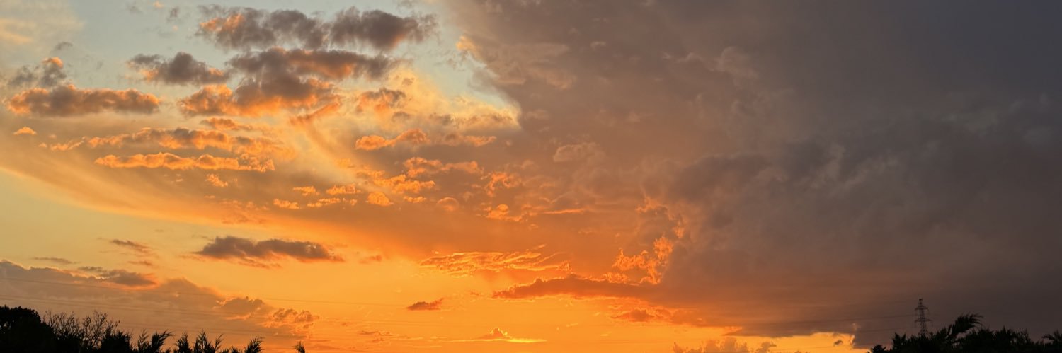 melanielty's profile banner image