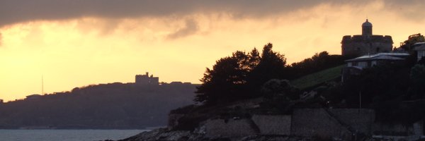 roselandtic Profile Banner