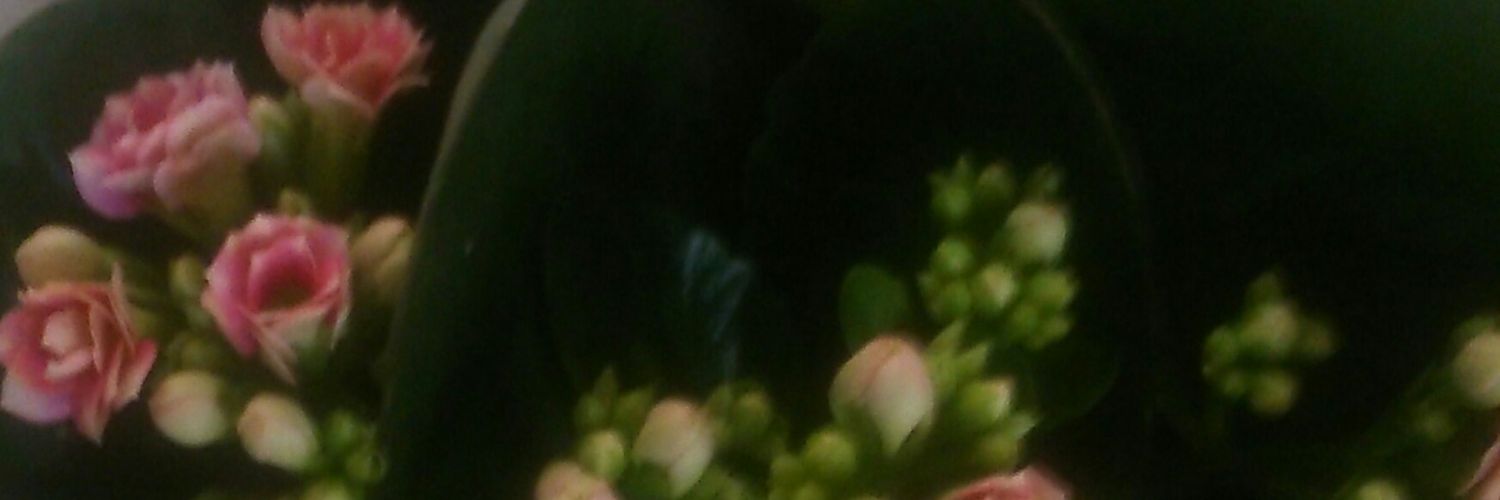 هديل الحمام banner