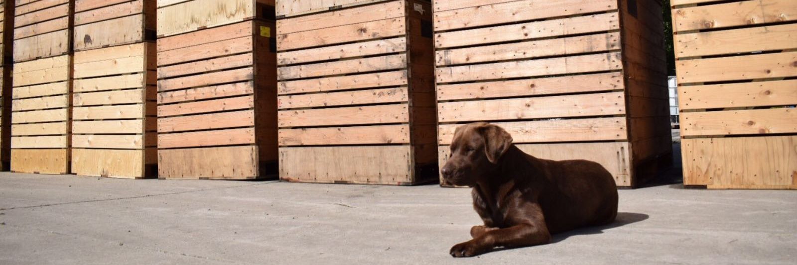 Gerald Maters banner