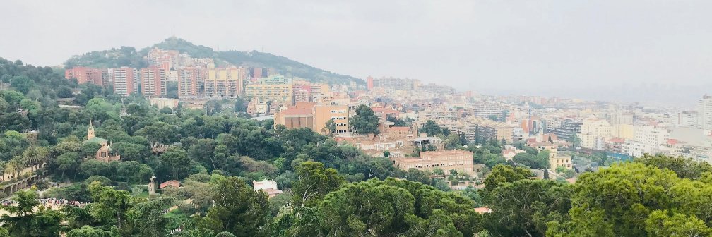AlmaFausto1's profile banner image