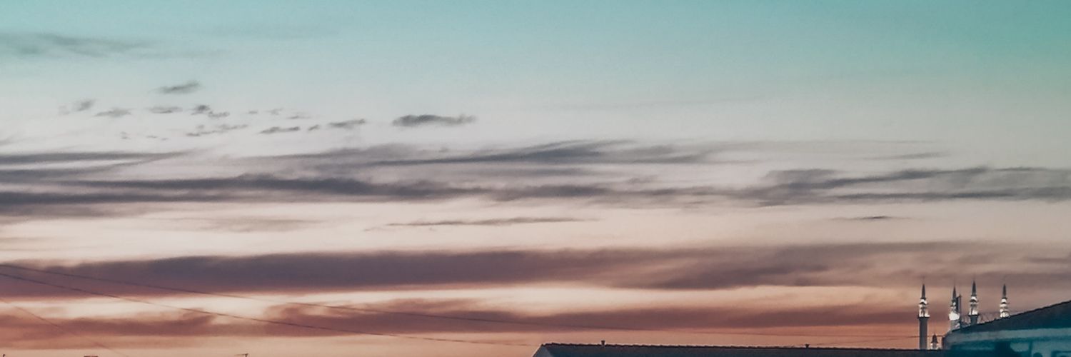 alice_moretz's profile banner image