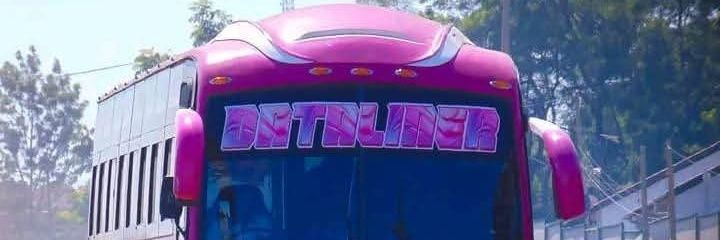 Dataliner Bus Service banner
