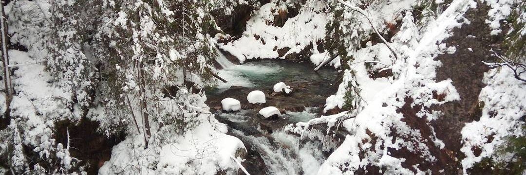 Dámaso Mondéjar Aráez banner