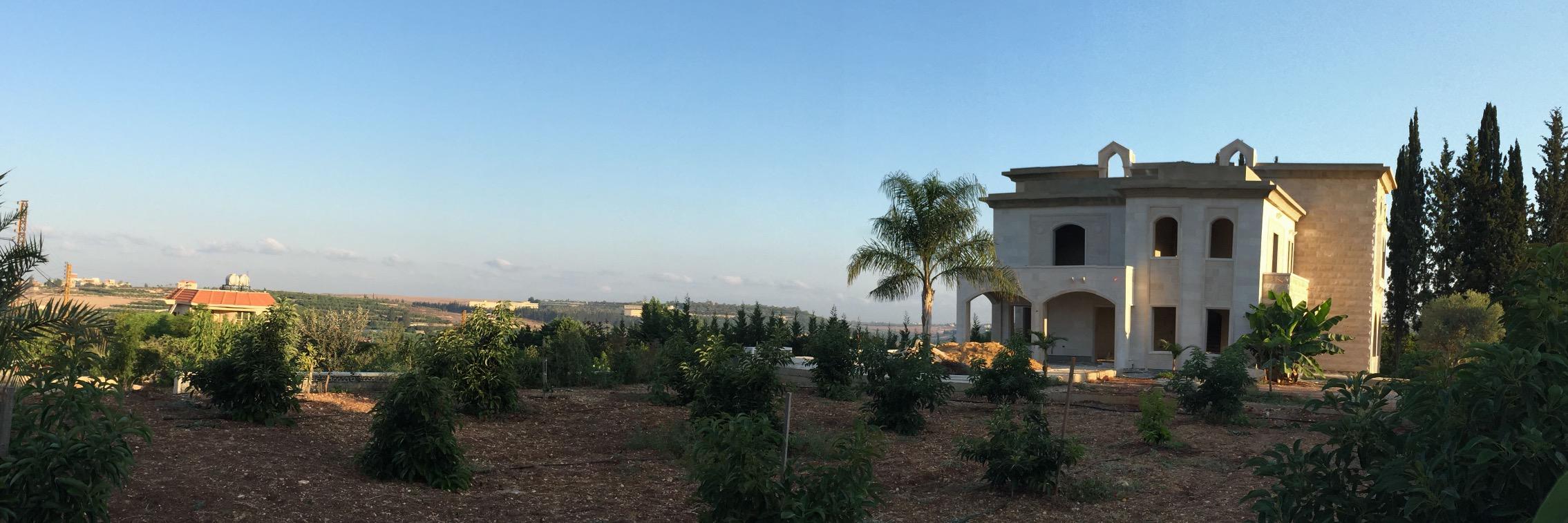 Mamdouh Assi banner