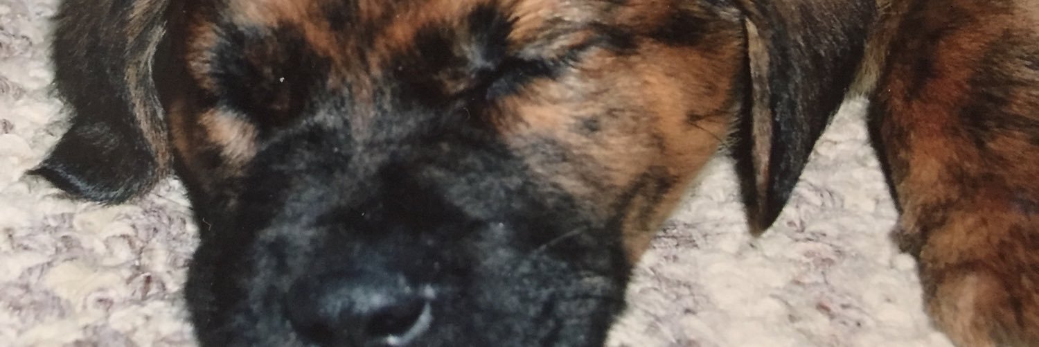 shane_seby's profile banner image