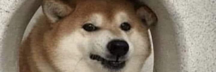 lexuniversas's profile banner image
