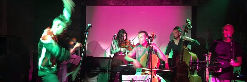 Angelfish Decay banner