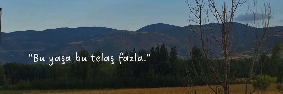 zsedaa's profile banner image