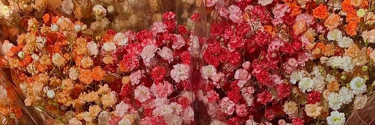 𓄹 ˖🌈ː𓏲 ʚ . 𝚋𝚎𝚌𝚌𝚊 . ɞ ˓✶ » 🤍🧡🩷 banner