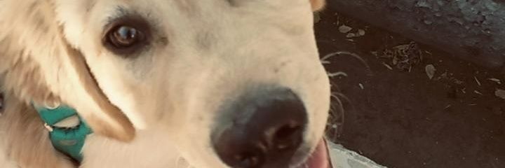 Emii_Mashad's profile banner image