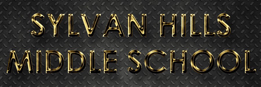 Linda Williams banner