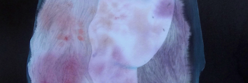 universalloop's profile banner image