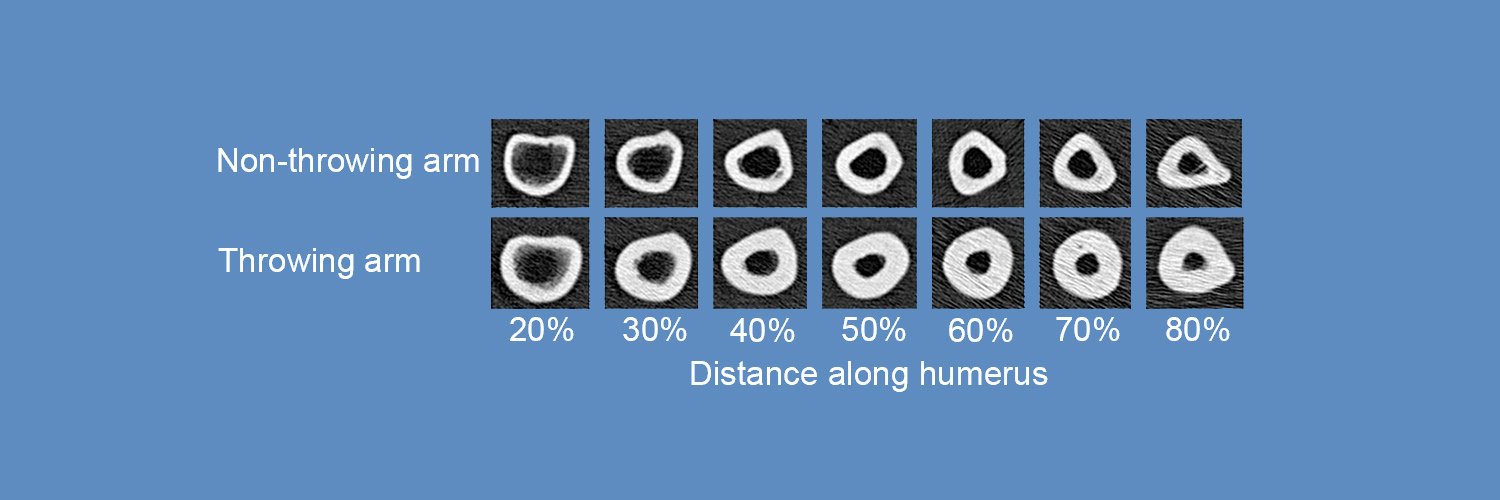 Stuart Warden, PT, PhD, FACSM, FASBMR banner