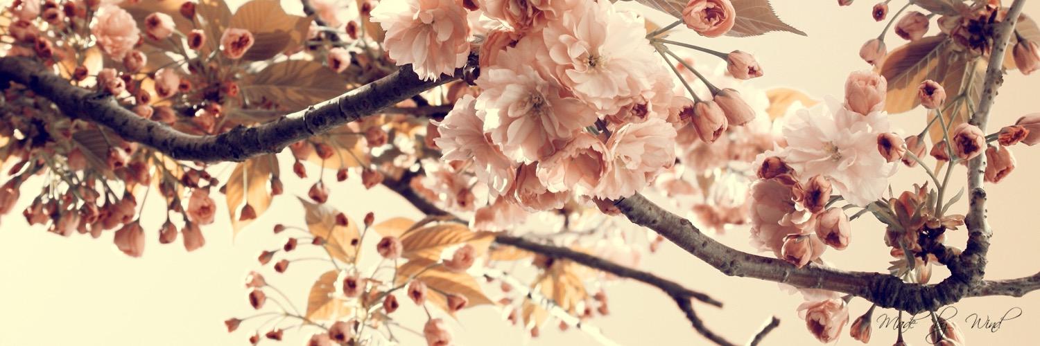 Hannah Lyn Watts banner