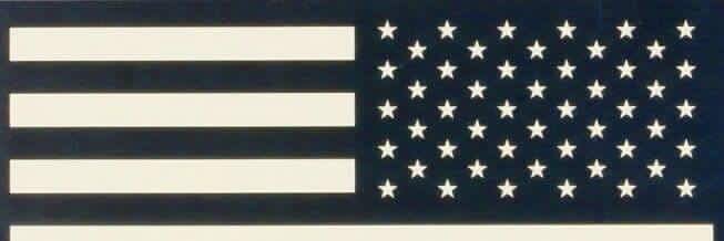 Conservative Flash banner