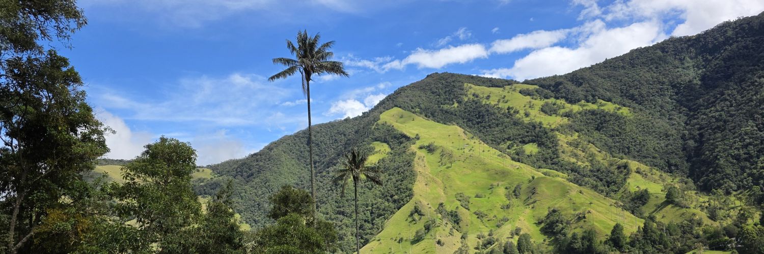 Camilo Acosta banner