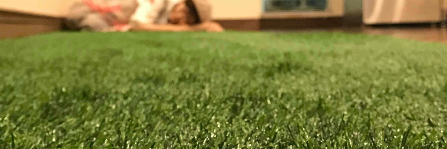 SeaGrass2's profile banner image