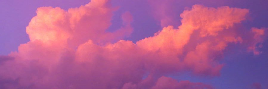 DaliaSaeedy's profile banner image