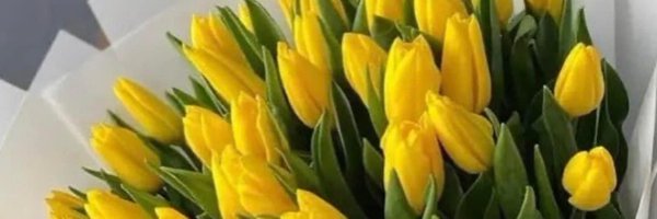 dianaegzz Profile Banner